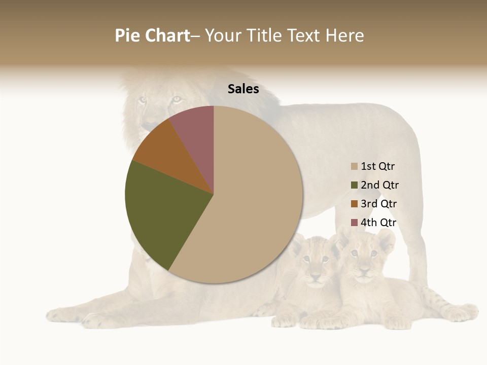 Isolated Pair Many PowerPoint Template