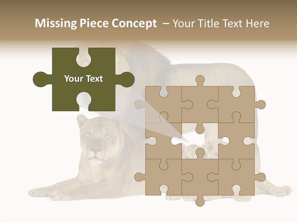 Isolated Pair Many PowerPoint Template