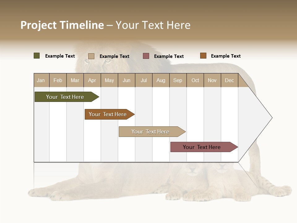 Isolated Pair Many PowerPoint Template