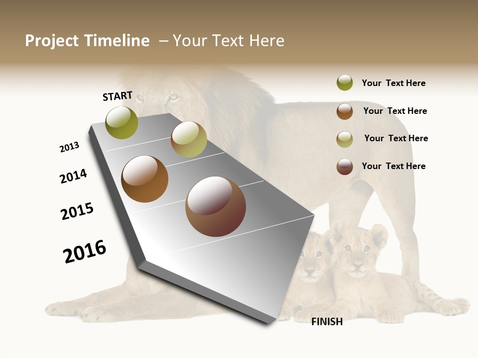 Isolated Pair Many PowerPoint Template