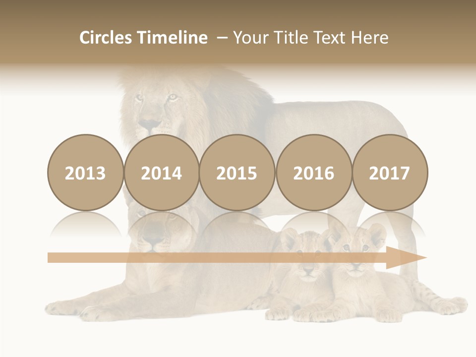 Isolated Pair Many PowerPoint Template