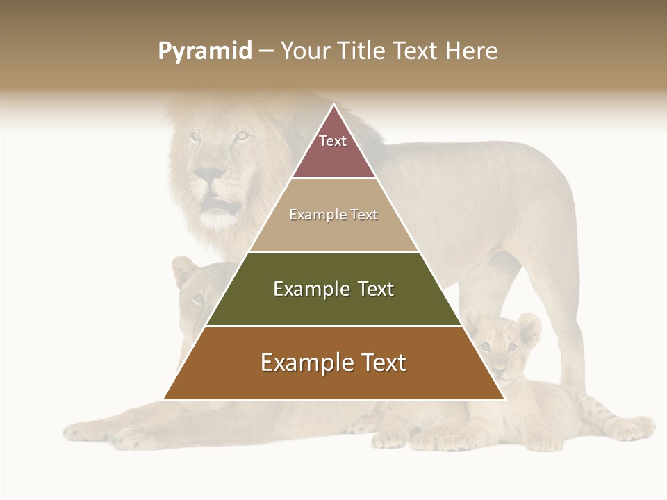 Isolated Pair Many PowerPoint Template