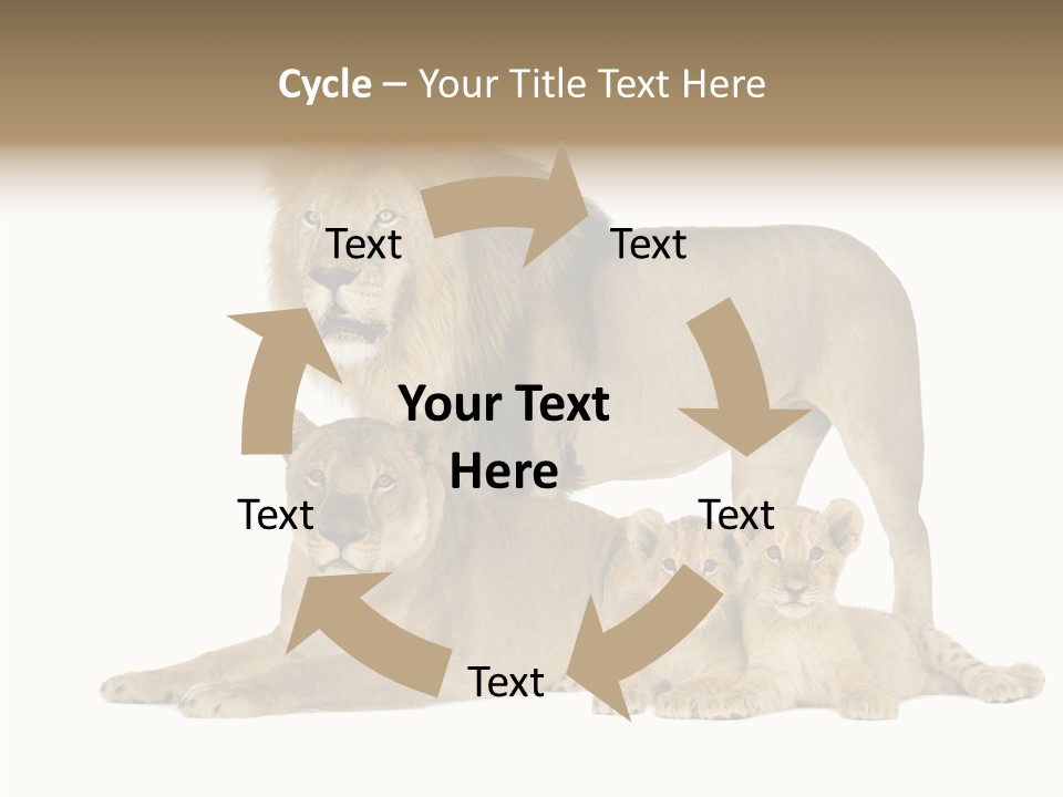 Isolated Pair Many PowerPoint Template