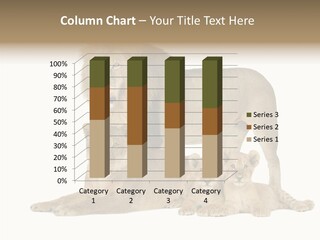 Isolated Pair Many PowerPoint Template