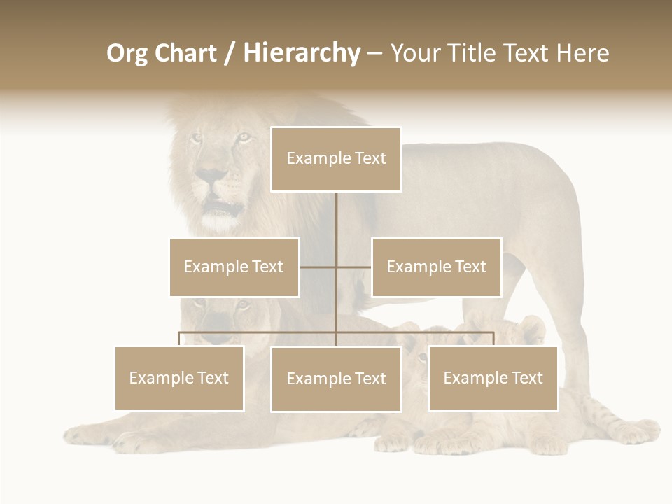 Isolated Pair Many PowerPoint Template
