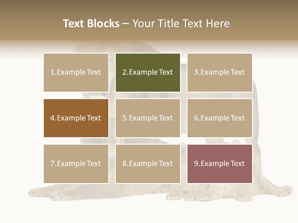 Isolated Pair Many PowerPoint Template