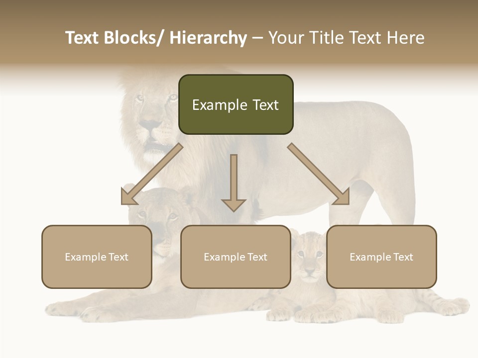 Isolated Pair Many PowerPoint Template