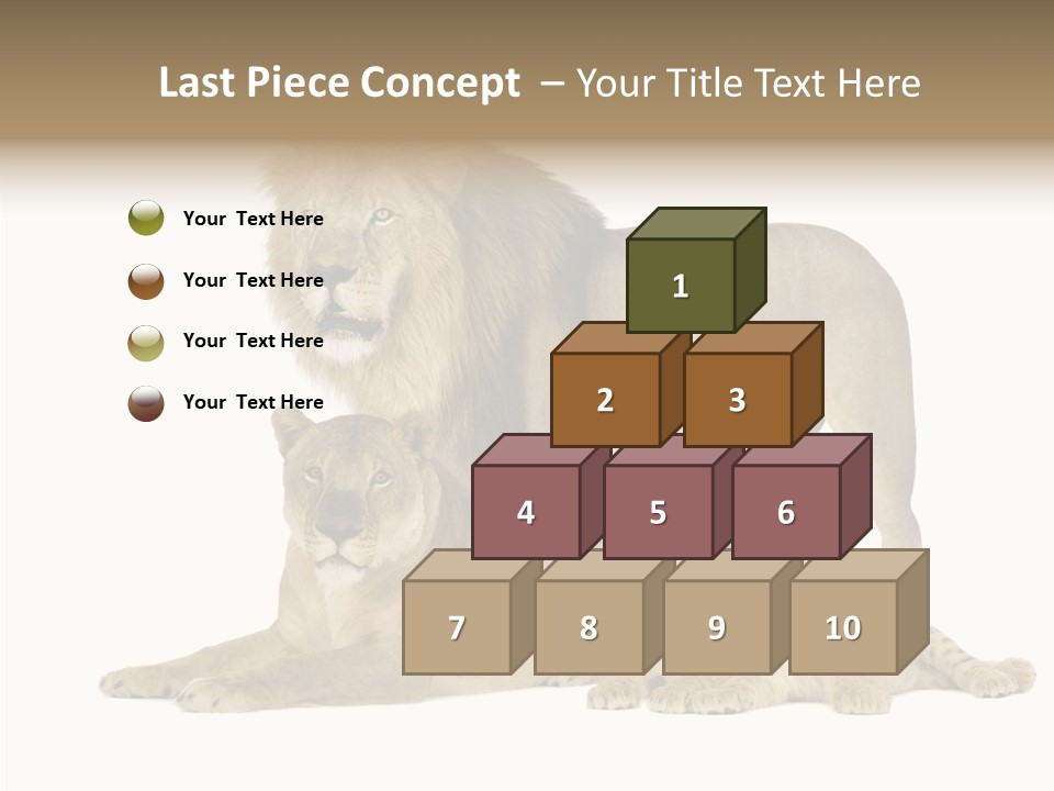 Isolated Pair Many PowerPoint Template