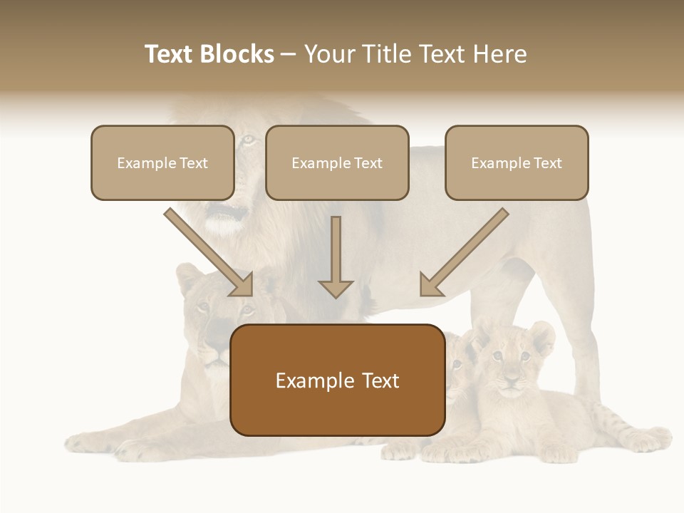 Isolated Pair Many PowerPoint Template