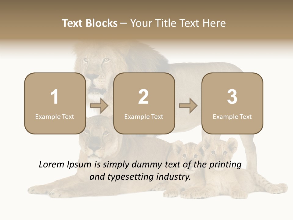 Isolated Pair Many PowerPoint Template
