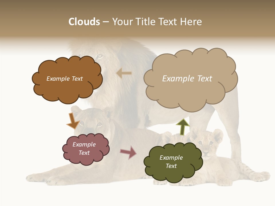Isolated Pair Many PowerPoint Template
