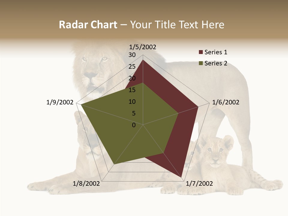 Isolated Pair Many PowerPoint Template