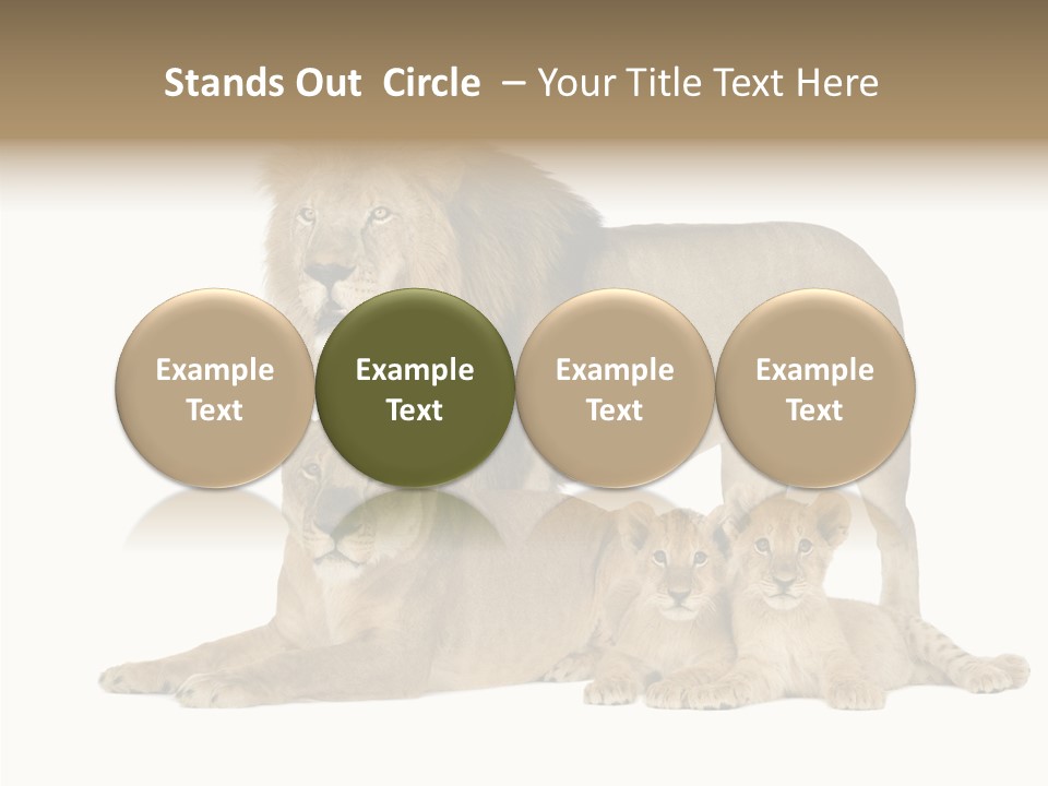 Isolated Pair Many PowerPoint Template