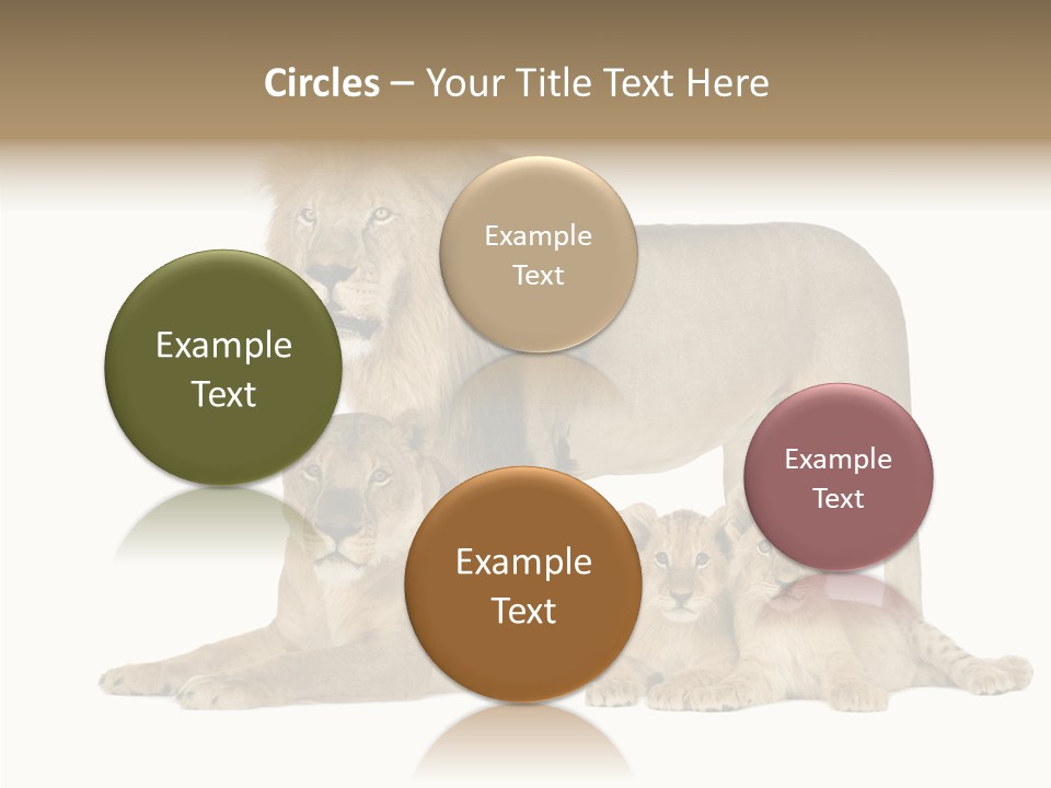 Isolated Pair Many PowerPoint Template