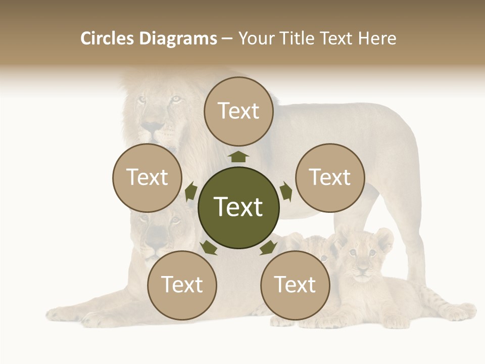 Isolated Pair Many PowerPoint Template