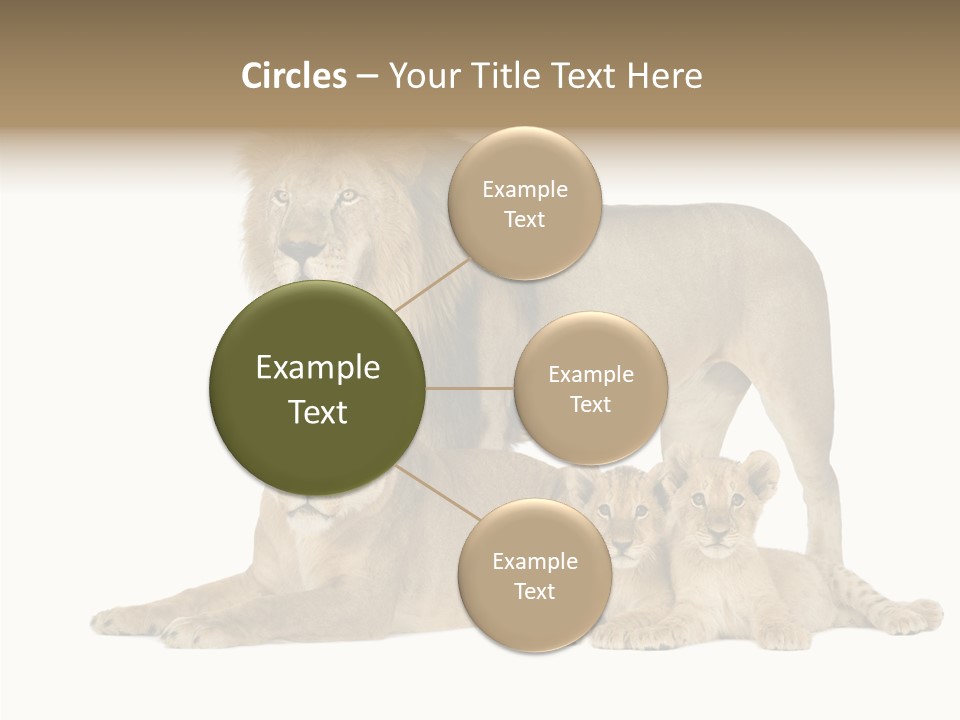 Isolated Pair Many PowerPoint Template