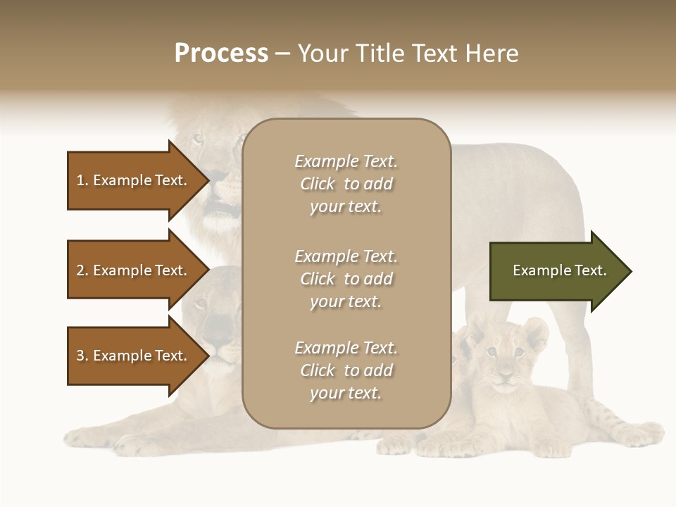 Isolated Pair Many PowerPoint Template