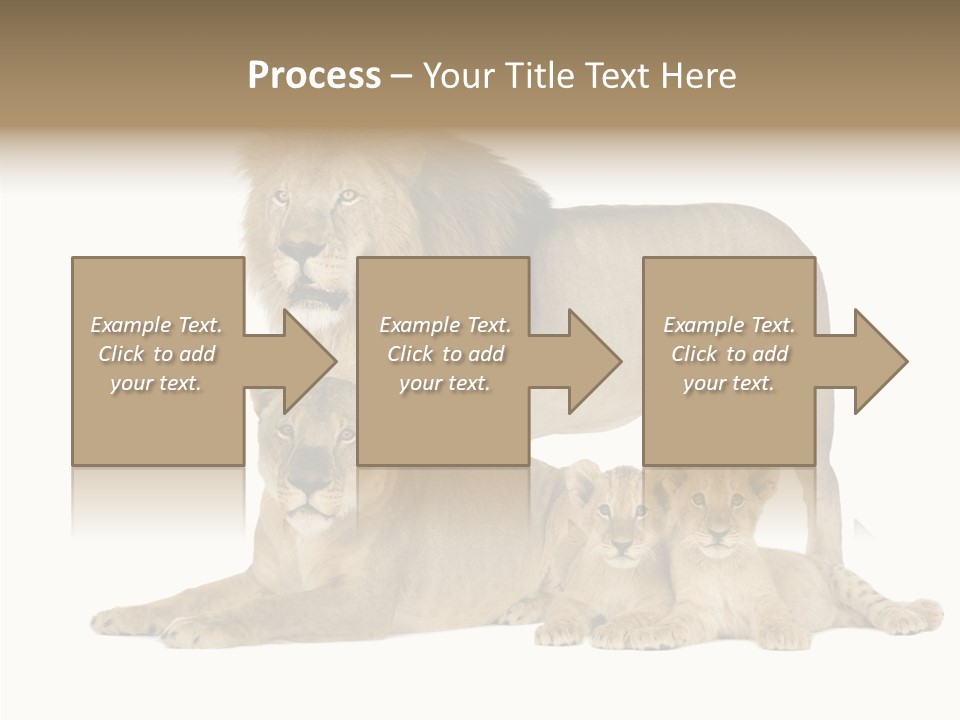 Isolated Pair Many PowerPoint Template