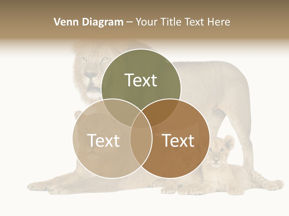 Isolated Pair Many PowerPoint Template