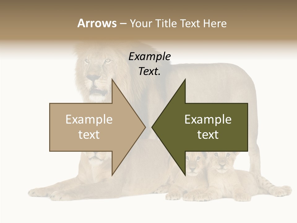 Isolated Pair Many PowerPoint Template