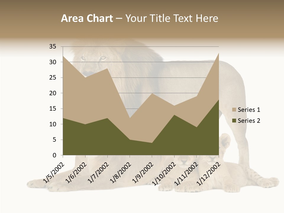 Isolated Pair Many PowerPoint Template