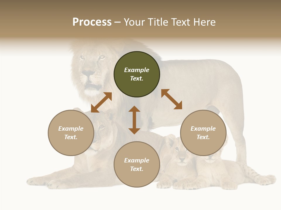 Isolated Pair Many PowerPoint Template