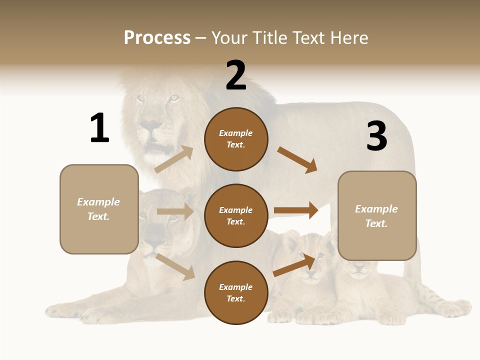 Isolated Pair Many PowerPoint Template