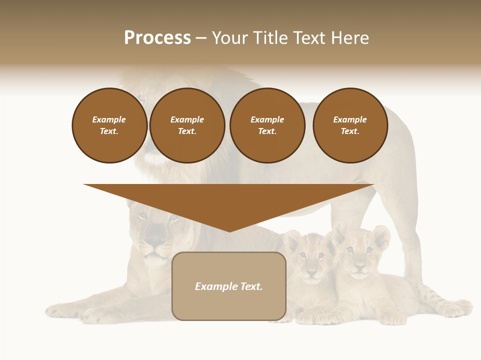 Isolated Pair Many PowerPoint Template