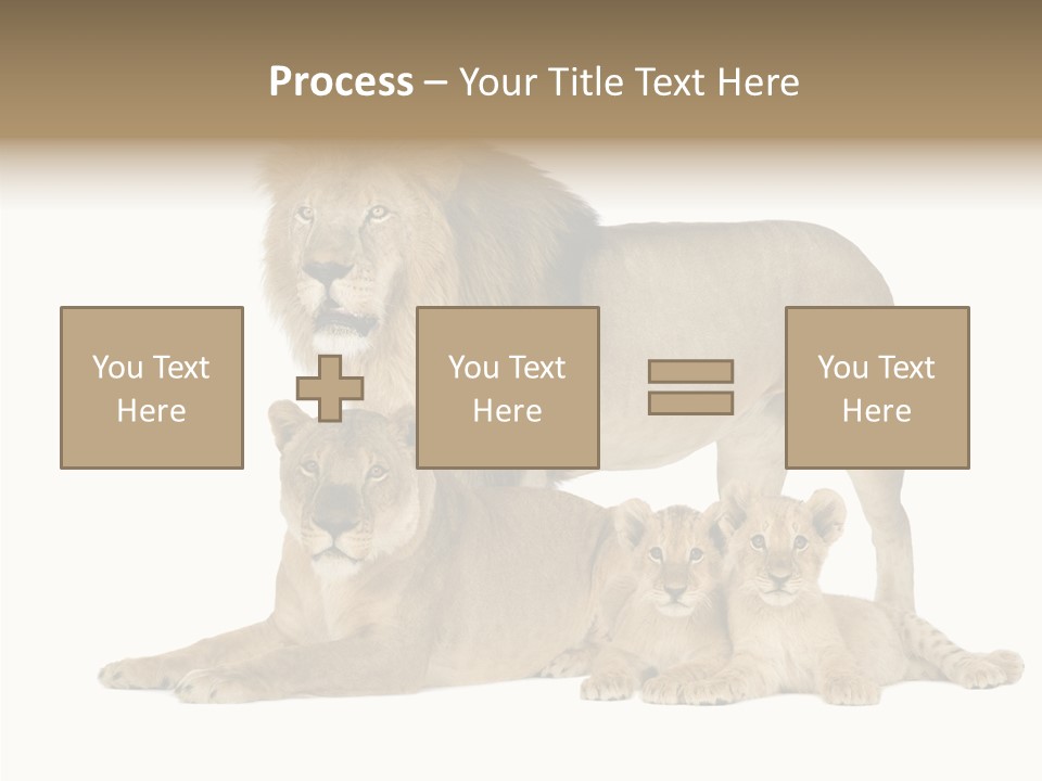 Isolated Pair Many PowerPoint Template