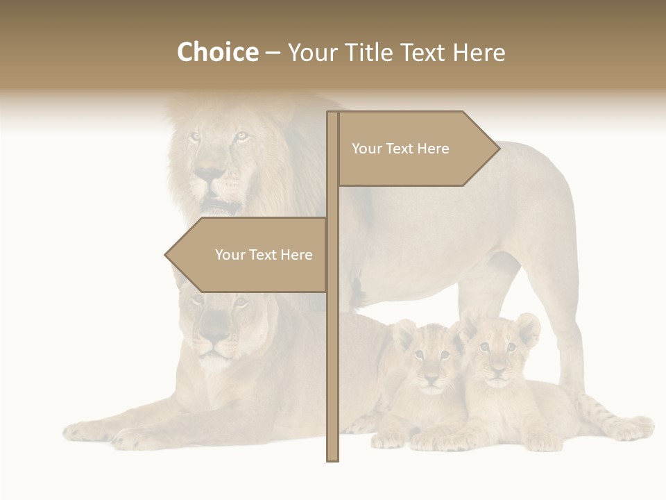 Isolated Pair Many PowerPoint Template