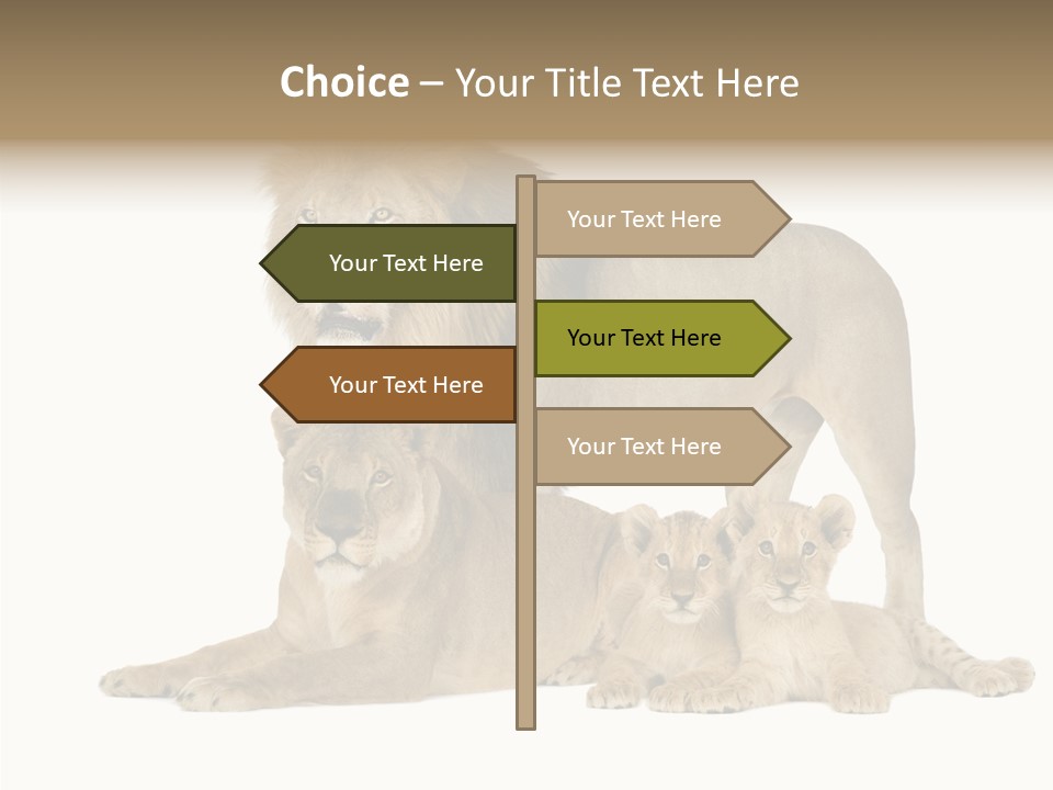 Isolated Pair Many PowerPoint Template