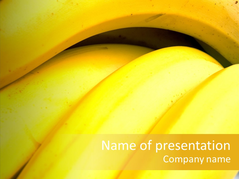 Yellow Tropical Life PowerPoint Template