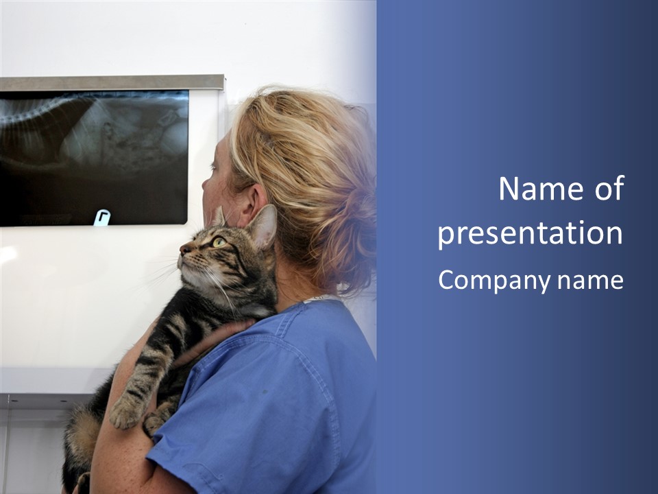 Animal Doctor Health PowerPoint Template