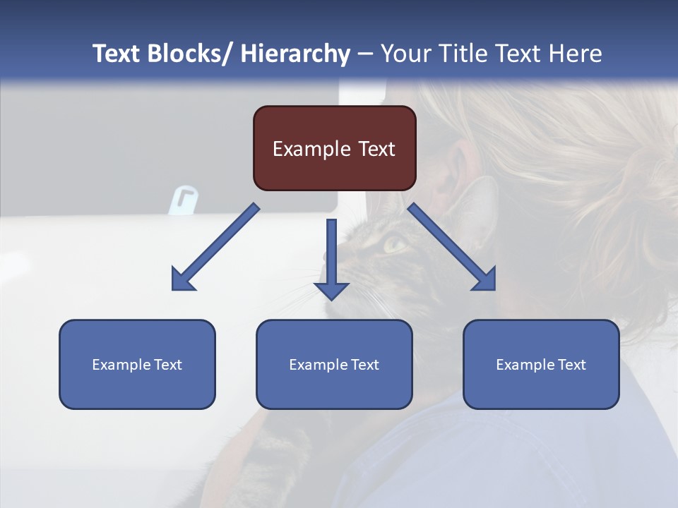 Animal Doctor Health PowerPoint Template