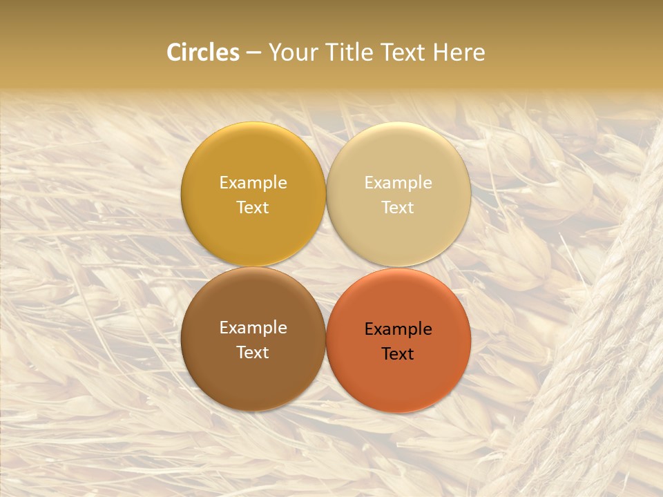 Abstract Whole Ingredient PowerPoint Template