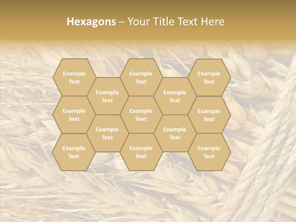 Abstract Whole Ingredient PowerPoint Template