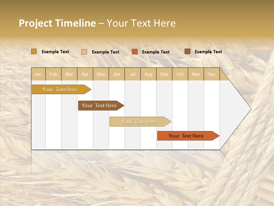 Abstract Whole Ingredient PowerPoint Template