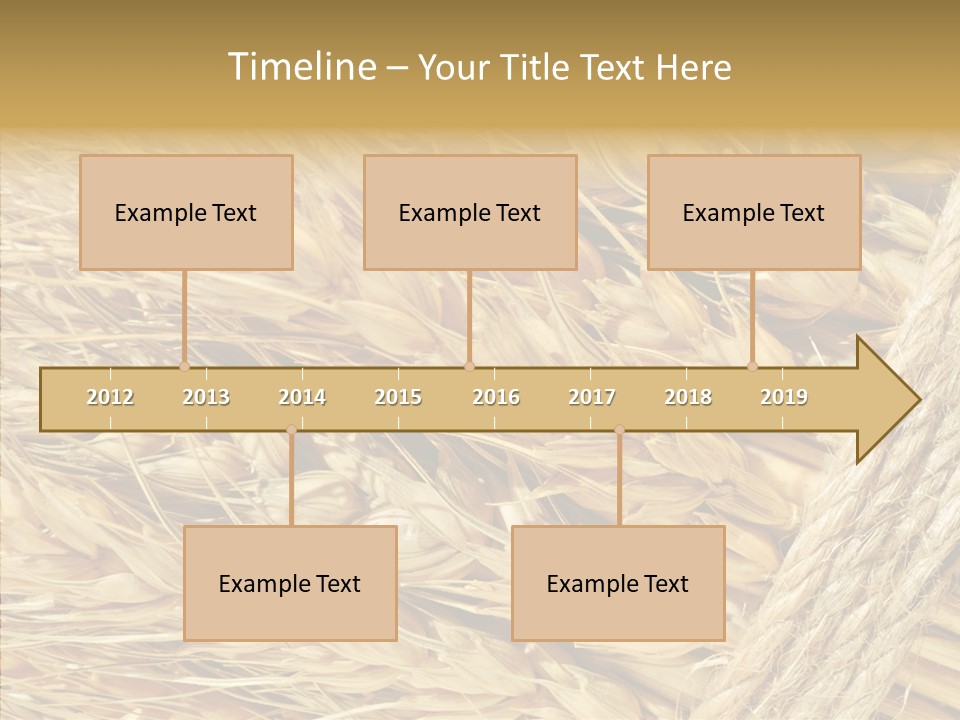 Abstract Whole Ingredient PowerPoint Template