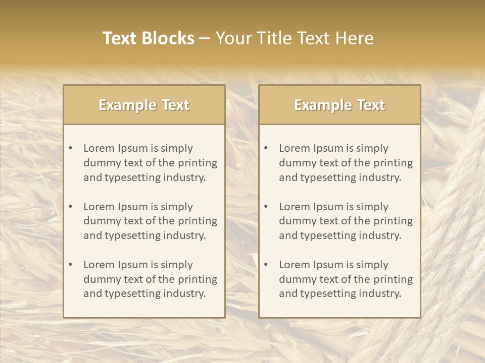 Abstract Whole Ingredient PowerPoint Template