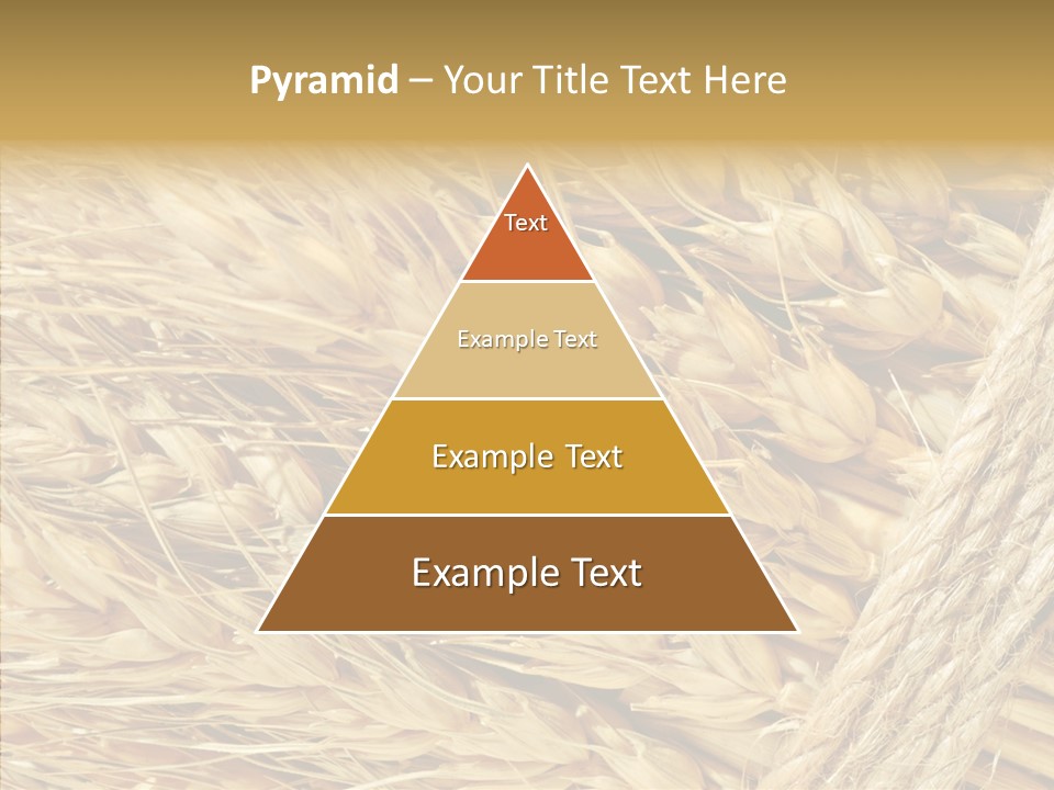Abstract Whole Ingredient PowerPoint Template