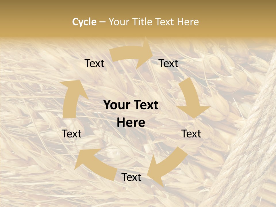 Abstract Whole Ingredient PowerPoint Template