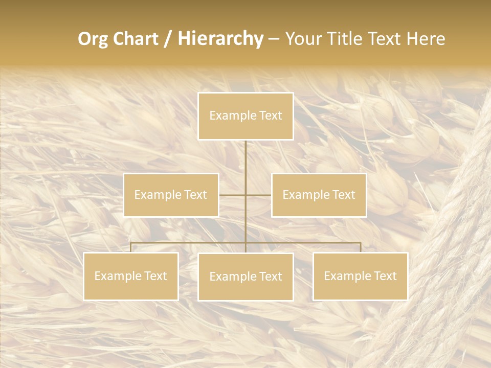Abstract Whole Ingredient PowerPoint Template