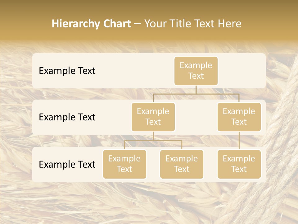 Abstract Whole Ingredient PowerPoint Template