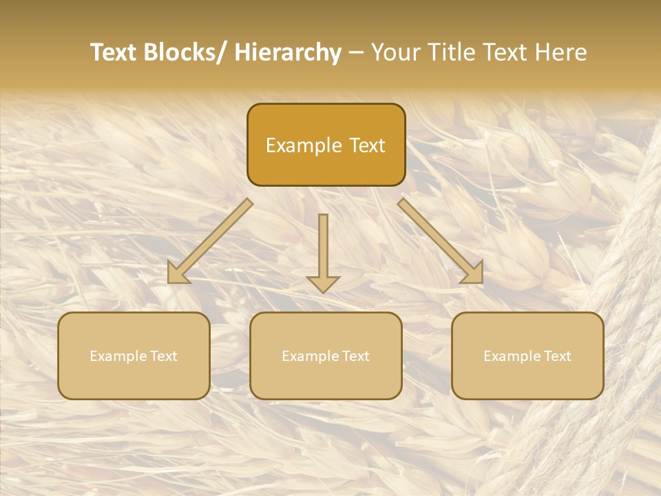 Abstract Whole Ingredient PowerPoint Template