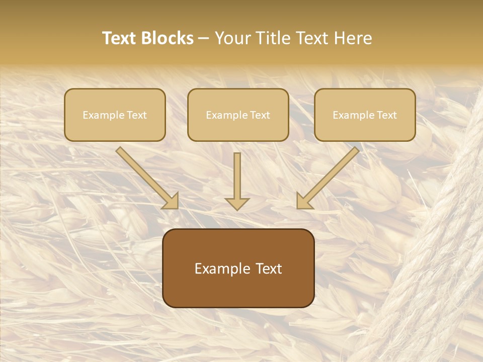 Abstract Whole Ingredient PowerPoint Template