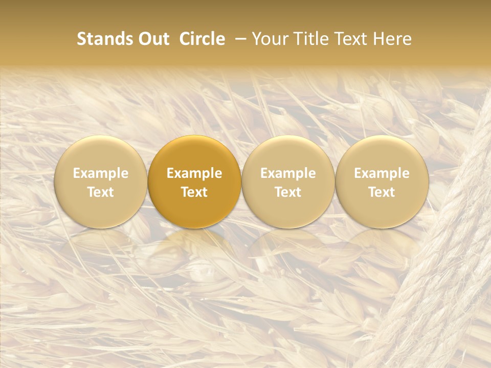 Abstract Whole Ingredient PowerPoint Template