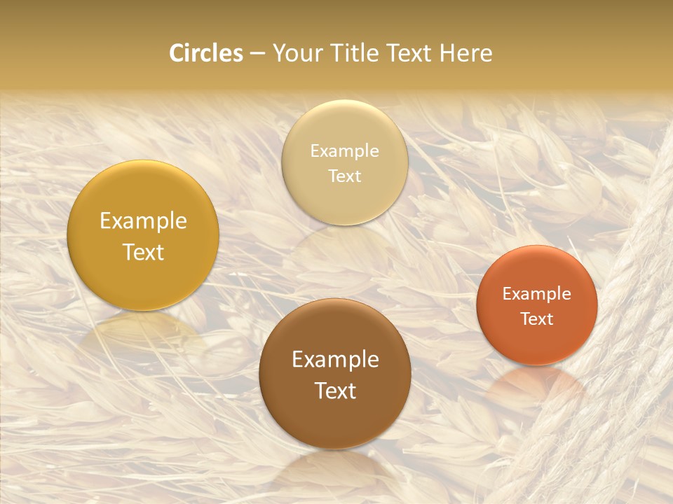 Abstract Whole Ingredient PowerPoint Template
