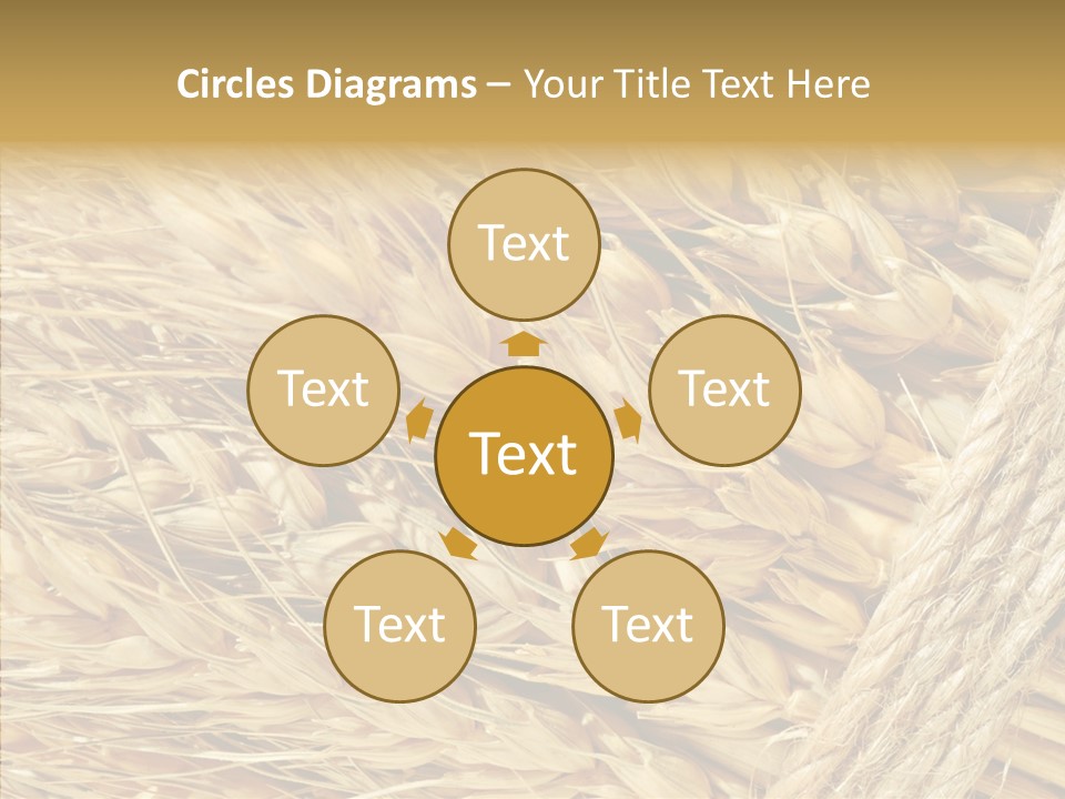 Abstract Whole Ingredient PowerPoint Template