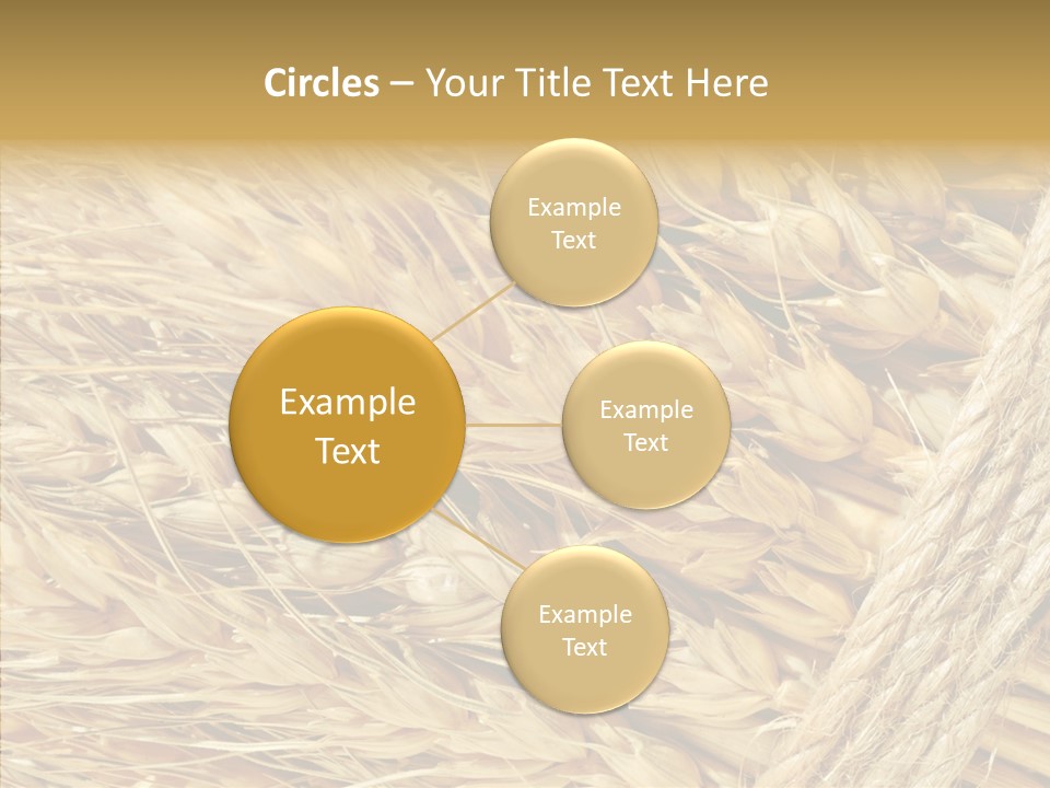 Abstract Whole Ingredient PowerPoint Template