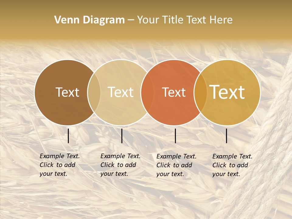 Abstract Whole Ingredient PowerPoint Template